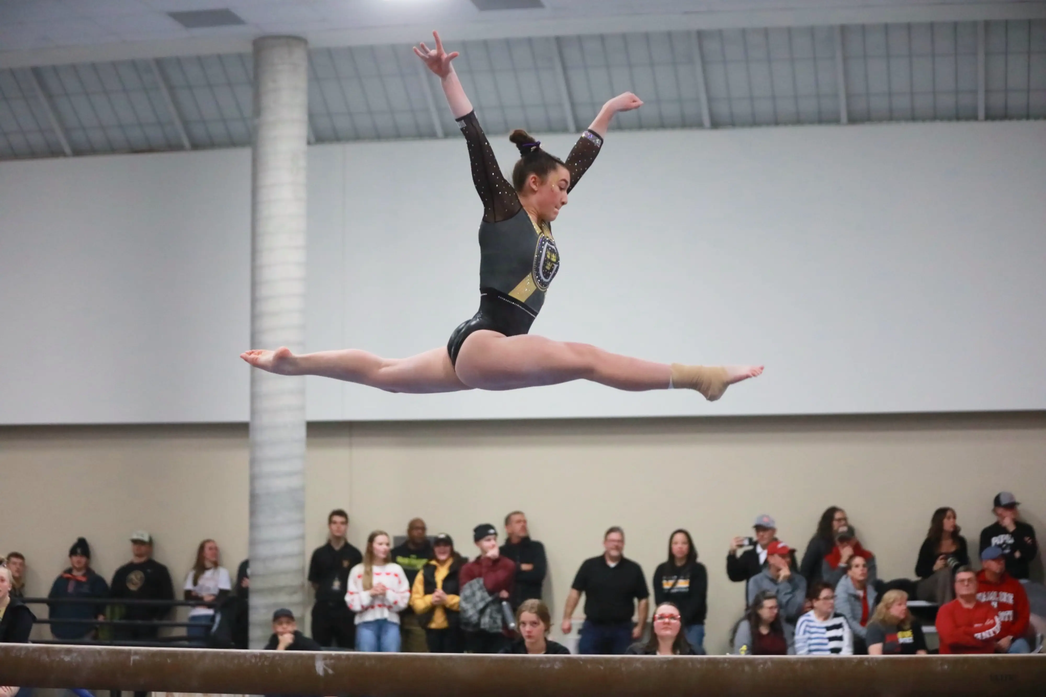 Gymnastics