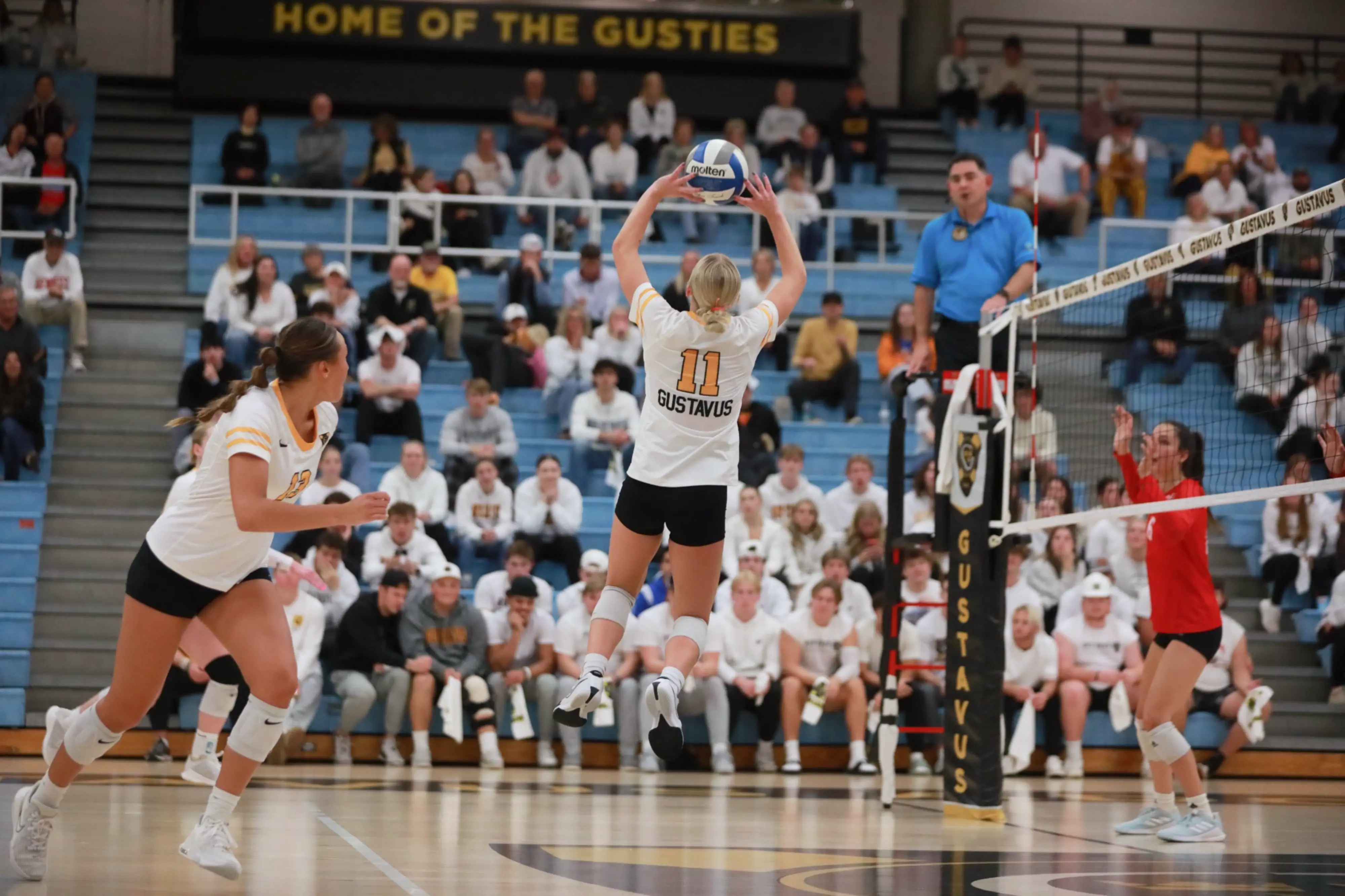 Volleyball